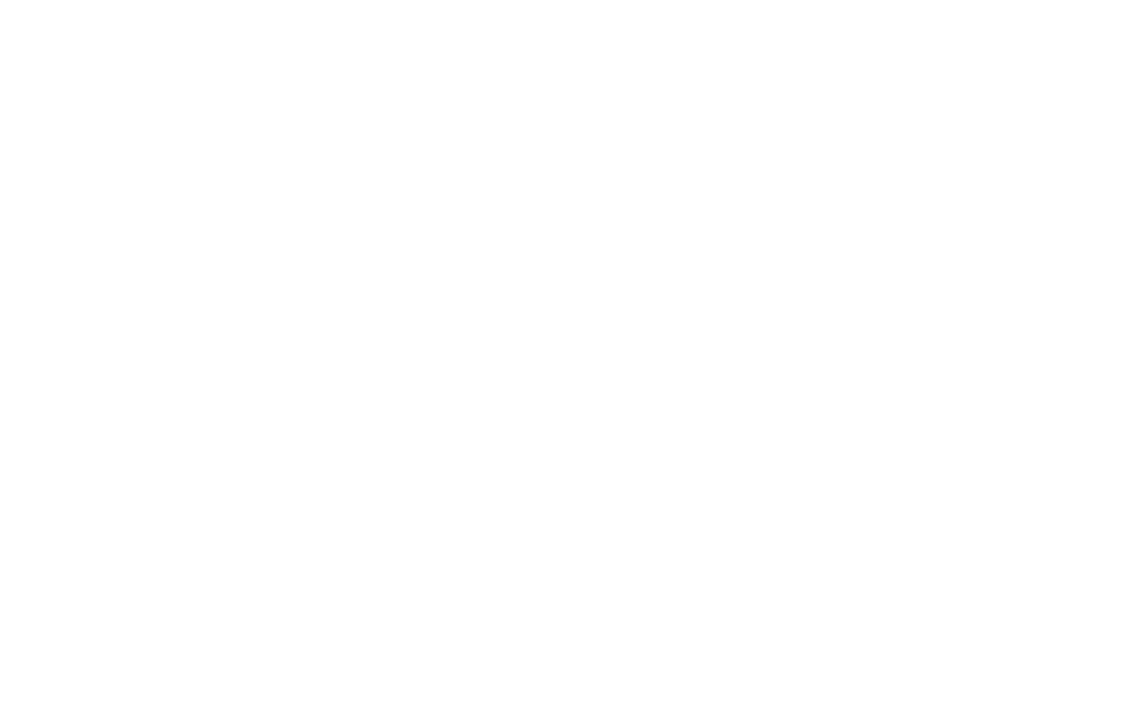 Crypto Bulz Logo